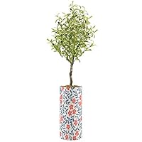 SIGNWIN Olive Tree with Red Flower & Blue Plant Stem Array Vase Floral Bouquet Modern Art Rustic Colorful Multicolor Ultra for Living Room, Bedroom, Office - X-Large 5 Feet (60