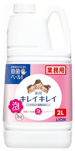 Kirei Kirei (Commercial Use Large Capacity) Medicated Foaming Hand Soap Citrus Fruity Scent Quasi Drug Liquid Refill 6.6 gal (2 L)