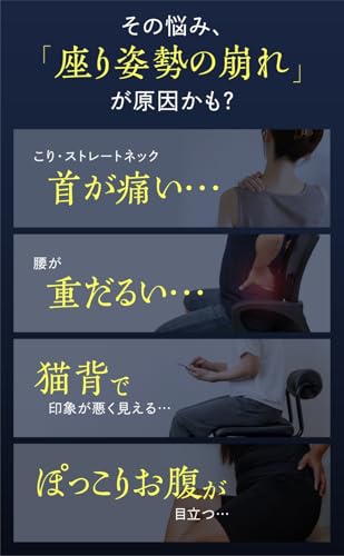 UMikke 姿勢サポートチェア PELSAPO ブラック UMikke の商品画像 3