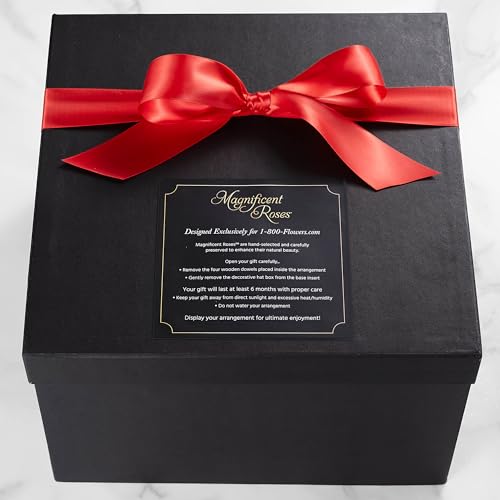 Magnificent Roses ® By 1-800-Flowers Premier Preserved Red Roses - Thumbnail 5