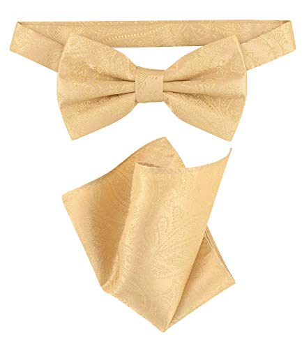 Vesuvio Napoli BowTie Gold Color Paisley Color Mens Bow Tie & Handkerchief