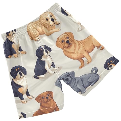 Pigsaly Boys' Swim Board Shorts Gold Corgi Husky Pug Dog Boy's Swim Trunks Kids Swimwear M2