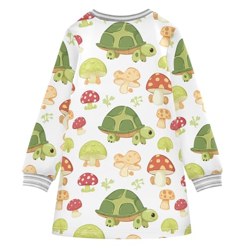Mushroom Turtle Girls Dresses Long Sleeve Sweatshirt Dress for Girls Winter Toddler Casual A Line Dresses Size 2-8T2