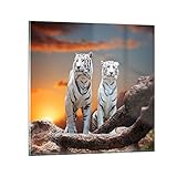 Une décoration murale unique, comme l’est l’impression sur verre, appelée aussi 