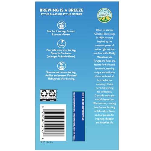 Image of Celestial Seasonings Cold Brew Sweetened Tea with Lemon Iced Tea 18 Tea Bags