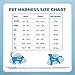 Best Pet Supplies - All Weather Mesh, Reflective, No Pull Harness for Small, Medium Dogs, Cats - Secure with Hook & Loop Fastener, Buckle, Double D-Rings - Orange Trim, XL