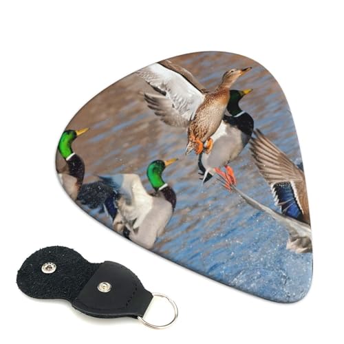 vX`bNsbN 킢GLM^[sbN Aq y Aj t@bV yD S gCAO sbN 6Zbg 0.71mm