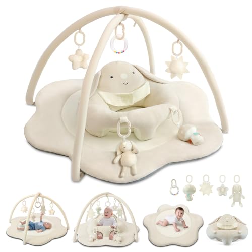 3-in-1 xr[vC}bgApxr[V[gA^C}bgAO\Ȃ5tAxr[ANeBreBW&vC}bg 0-6 6-12̐ԂpAVxr[V[Mtg