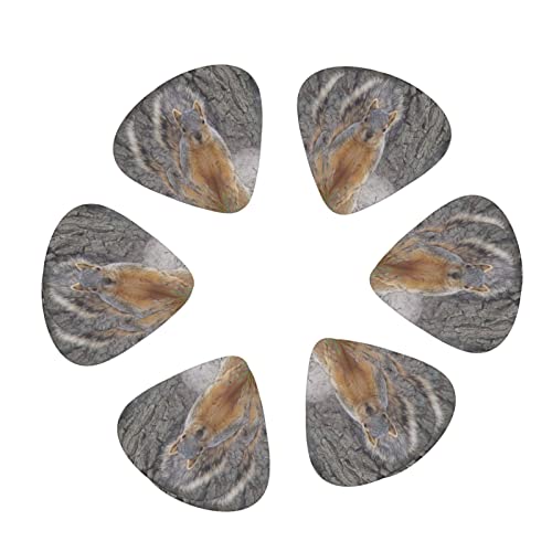 Squirrel Lot de 12 médiators pour guitare basse électrique acoustique - Les Beatles, Paul McCartney, John Lennon, RIngo Starr, George Harrison Squirrel Lot de 12 médiators pour guitare basse électrique acoustique – Image 3