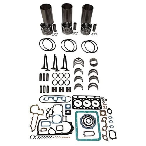 Qyljday D1402 Engine Overhaul Rebuild Kit STD fits Kubota L2550 L2650 L2202 L2402