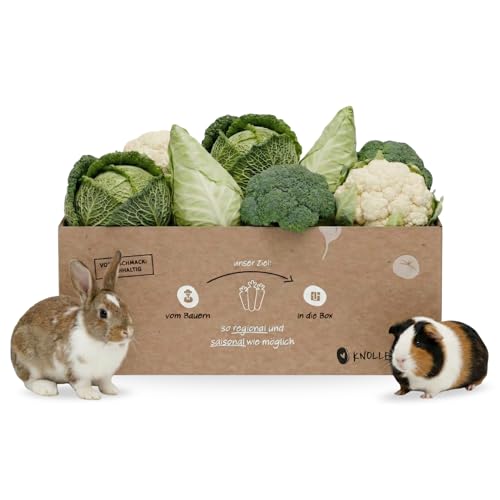 Kohl‑Lover Frischfutter-Box 3 kg – Ausgewognene Kohl‑Mischung für Kaninchen, Meerschweinchen & weitere Heimtiere | Blatt‑ & Kohlsorten liebevoll zusammengestellt | Versand Immer Montag & Dienstag