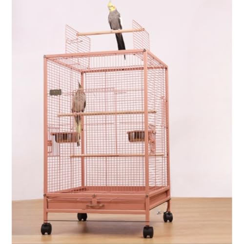 ^ P[W IJCR P[W Demanca   o[h  IJ CR ϋv (C)