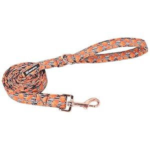 Maca bates halloween day dog leash durable 5 ft44 ft4 ft for small medium large dogs walking accessories  urban country home decor