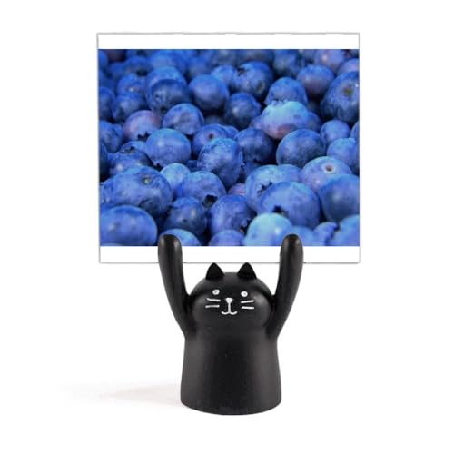 Support photo chat noir pour maintenir vos images sans les abîmer