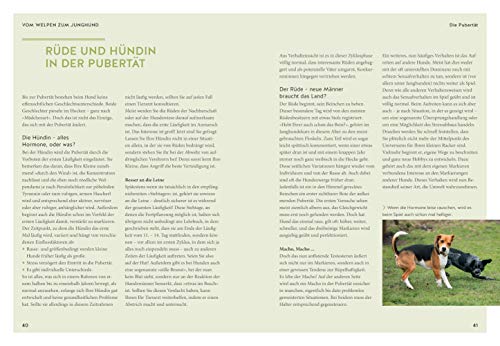 Wenn der Welpe zum halbstarken Hund wird: Gelassen durch die Hunde-Pubertät (überarbeitete und aktualisierte Neuausgabe) (GU Welpen)