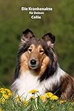 Die Krankenakte für Deinen Collie: Dokumentiere mit einer sinnvollen Vorlage schnell und einfach die Krankheiten / Verletzungen Deines Hundes ... BARF Planer und Welpentagebuch, Band 5)