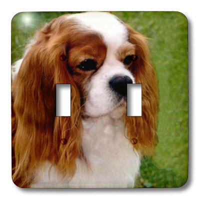 Interruptor doble Cavalier King Charles Spaniels para decorar salones y dormitorios 3