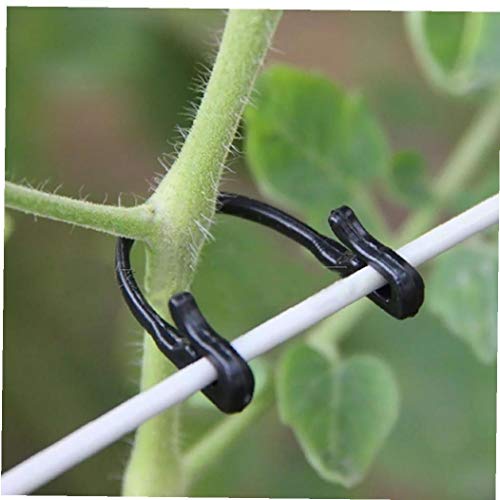 100pcs Garden Plant Tied Buckle Fixed Lashing Hook Graft Clips Agricultural Tool for Kitchen Bathrooms Wall Lavatory Closets Black
