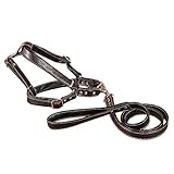 *** Función: diseño ergonómico que ayuda a controlar a tu perro. Cómodo, práctico y fiable. Será una gran ayuda si entrenas o caminas con tu perro. También puedes llevar a tu perro al aire libre para correr, senderismo, ciclismo, camping con este útil arnés.