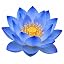 Blue Lotus