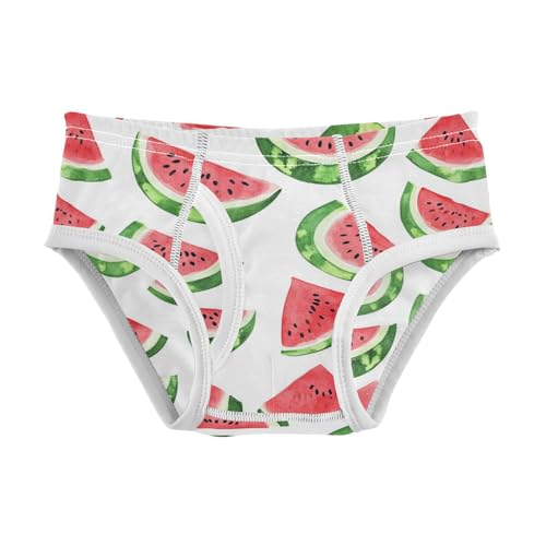 Wusikd Watercolor Red Boys' Underwear Cotton Red Watermelon Boys Briefs Soft Toddler Underwear 2T