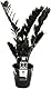 Blumen Senf Zamioculcas Raven