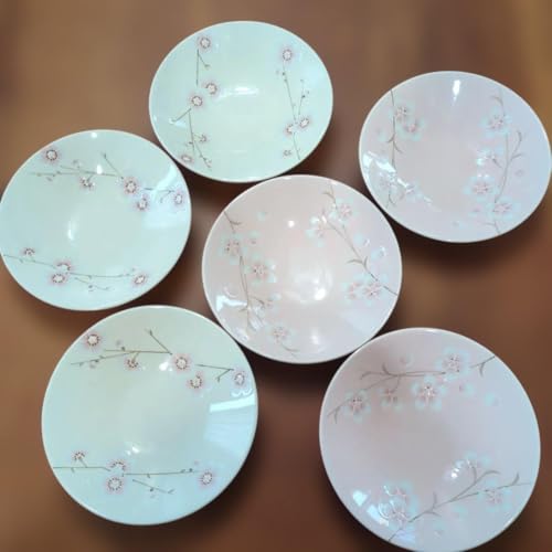 たち吉 皿 セット」の人気商品一覧 | 安い商品を通販サイトから探す