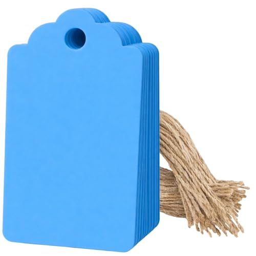 Image of CVANU 100pcs Premium Color Tag Blank Hanging with Pre-Punched Hole Tags for DIY Crafts, Gift Wrapping, Labelling & Writable Decorative Tags for All Occasions (2.85in X 1.7in) Light Blue1