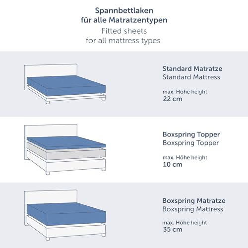 Blumtal® Premium Spannbettlaken 200x200 Boxspringbett Jersey 1er Set - Oeko-TEX zertifiziertes Bettlaken aus Baumwolle - Leintuch 200x200… – Ansicht 2