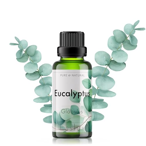 Image of Esslux Eucalyptus Essential Oil - Pure & Natural Nilgiri Oil for Cold, Cough & Congestion | 100% Therapeutic Grade Eucalyptus Oil for Aromatherapy, Diffuser & Air Freshening - 60ML