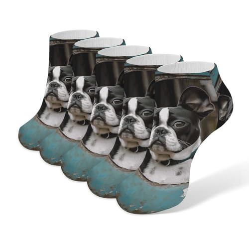 5-Pack Ankle Socks for Adult, Boston Terrier Low Cut Sock, Breathable Soft Casual Athletic Socks