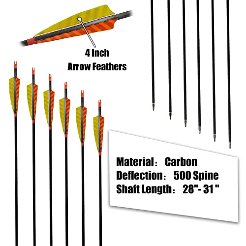 Hosolee 12 Pack Archery 500 Spine Carbon Arrows With Real Feathers And Removable Tips For Targeting Hunting Practice (30 Inch) #TOP1