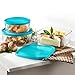 Bormioli Rocco Frigoverre Rectangular Food Container with Frosted Lid
