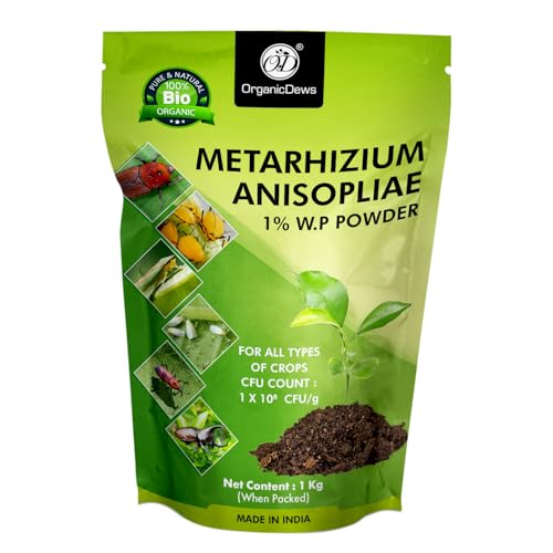 OrganicDews Metarhizium anisopliae 1 Kg (1x10^8 CFU/g) for Plants...