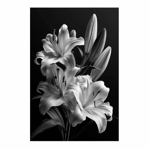 Affiche noir et blanc Lys Blancs Noirs poster decoration salon fleur toile murale 80x120