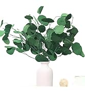 Preserved Dried Eucalyptus Stems, Green Real Greenery Branches, 7-11 PCS Silver Dollar Leaves for...