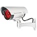 WALI Bullet Dummy Fake Surveillance Security CCTV Dome Camera Indoor Outdoor with 30 Illuminating LED Light + Warning Security Alert Sticker Decals WL-S30-1(Silver), 1 Pack