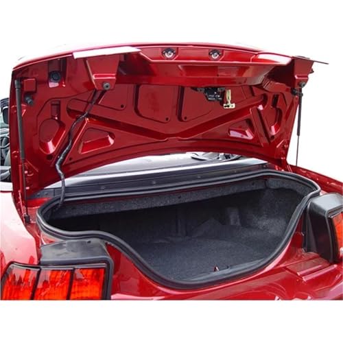 Support de levage haute performance et verins de coffre durables pour Ford Mustang - 7