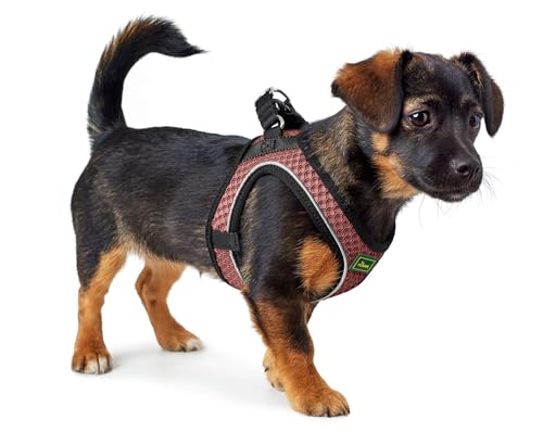 Hunter Hundegeschirr Hilo Comfort, Farbe: Altrosa, Easy Step-In Geschirr für kleine bis mittlere Hunde, mit Netzmaterial, reflektierende Elemente, angenehm leicht, modernes Design, Größe: S