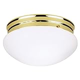 Westinghouse 66609 2BULB PB Ceiling Fixture Lighting, Two Polished Brass