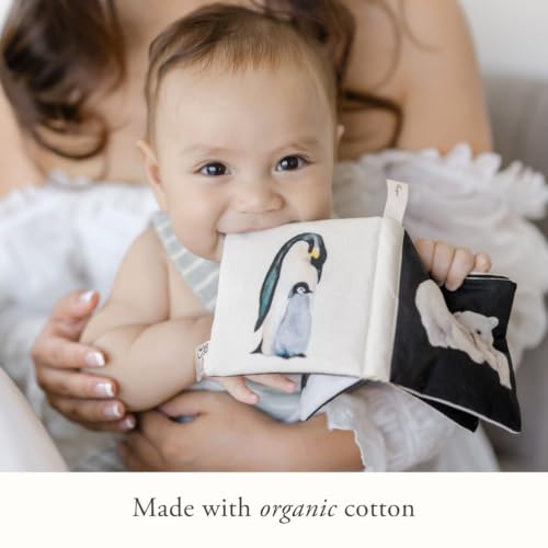 Image of Crinkle Book Made with ORGANIC Cotton: High-Contrast Art for Sensory Play and On-the-Go Fun (Tabitha Paige Children's Book Series)