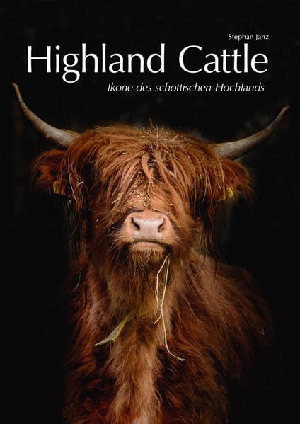 Highland Cattle: Ikone des schottischen Hochlands