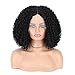HANNE Short Curly Lace Front Wigs Middle Part Swiss Lace Coily Frontal Lace Synthetic Hair Wigs for Black Women Heat Resistant Short Hair Full Wig (1#)