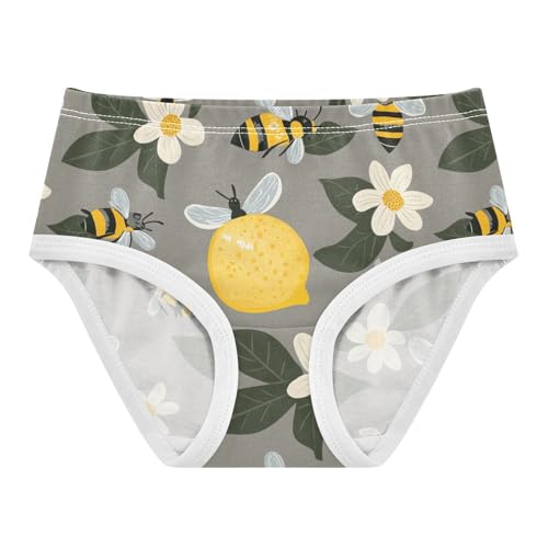 Wusikd Cute Bees Lemons Girls' Underwear Cotton Flowers Girls Briefs Soft Toddler Underwear 2T