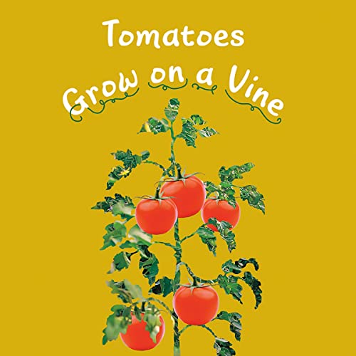 Tomatoes Grow on a Vine by Mari Schuh, Gail Saunders-Smith episode artwork