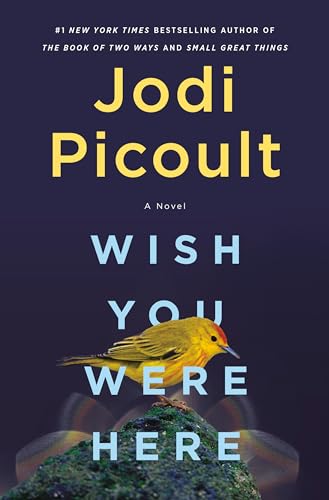 Wish You Were Here: A Novel 0593497201 Book Cover
