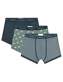 Springfield Pack 3 Boxer Iguana Boxers, Blue, L para Hombre