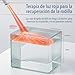 Imagen de FORTHiQ Masajeador de Rodilla Inalámbrico