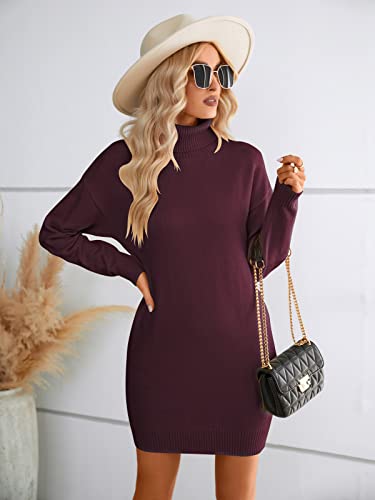 SENFURE Soft Turtleneck Pullover Dress for Women Long Sleeve Knit Elasticity Sweater Fall Winter...