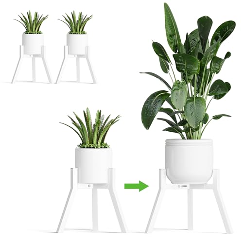 Semplice ed elegante: il supporto per piante è caratterizzato da un design semplice ma elegante ed è disponibile in nero, bianco o oro, quindi si adatta a una varietà di spazi interni ed esterni